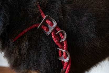 Aesthetic Dog Harness