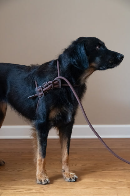 Aesthetic Dog Harness